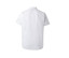 CAMISA MANGAS CORTAS HOMBRE