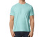 SOFTSTYLE ADULT T-SHIRT